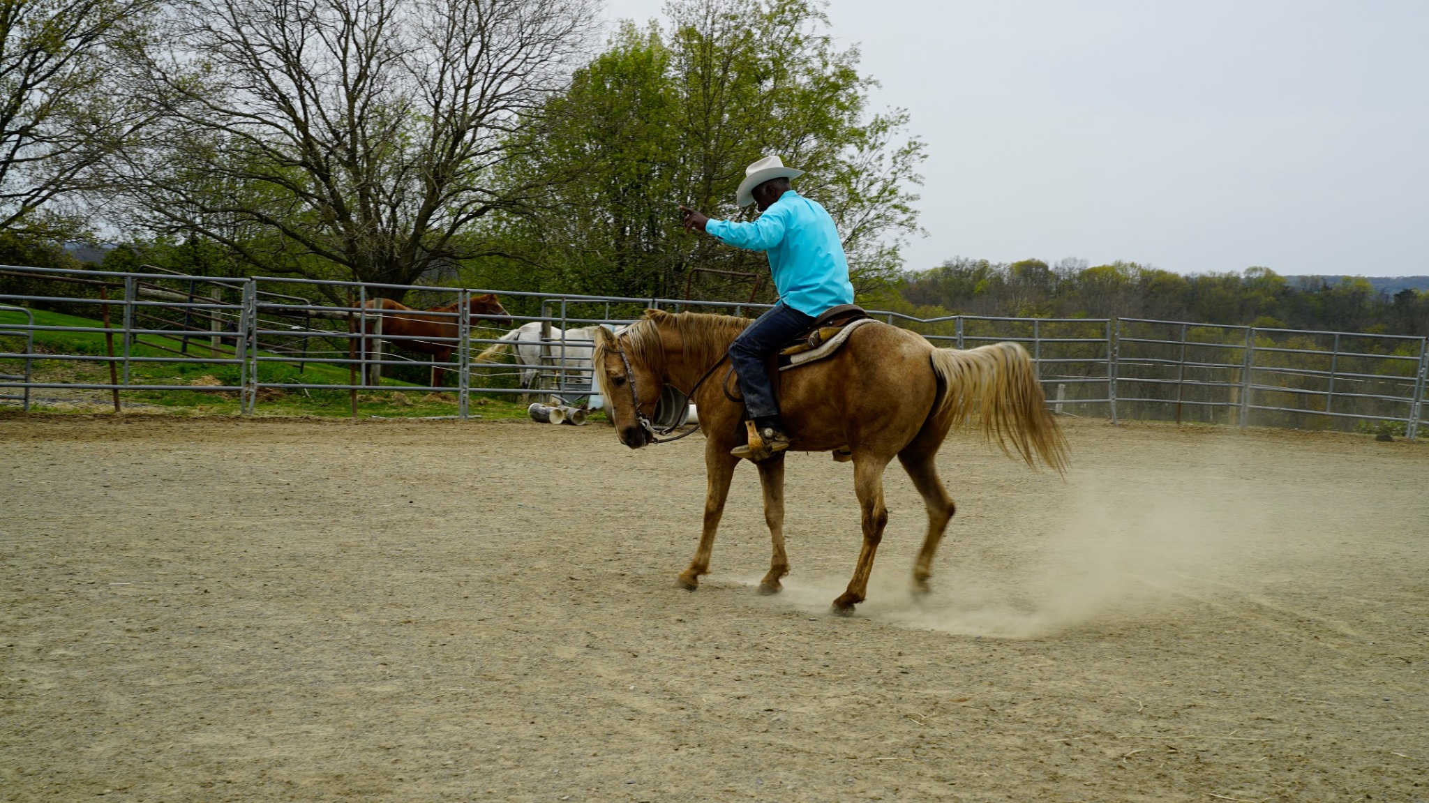 A Black horseman riding through a sunlit arena